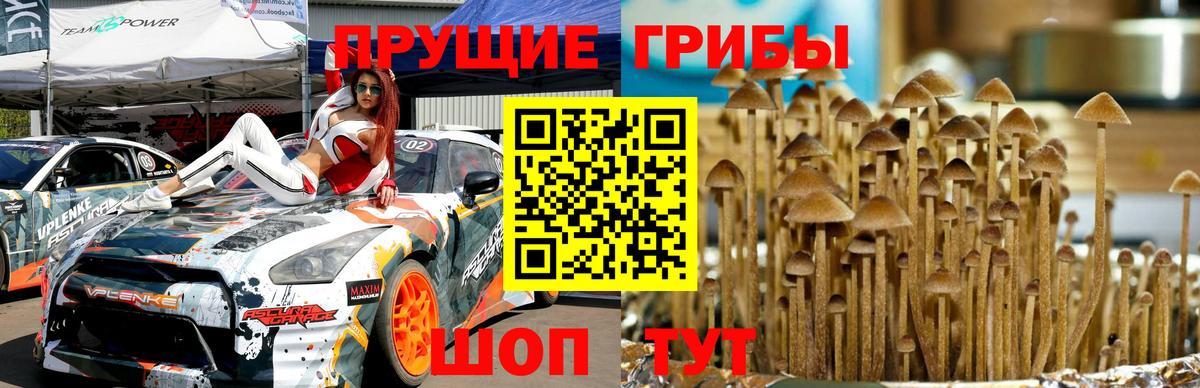 Псилоцибиновые грибы Psilocybe  Галлюциногенные грибы мухоморы  Вход с VPN  Алейск 