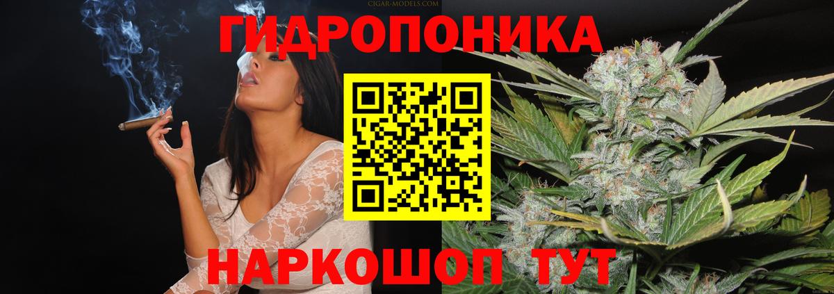 Бошки Шишки OG Kush Алейск